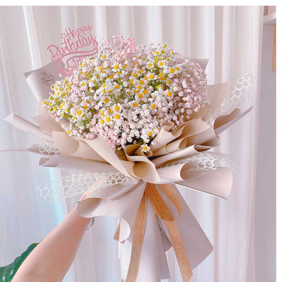 Baby Breath Chamomile