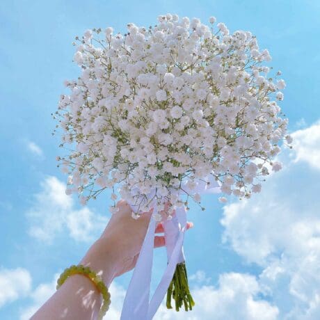 Baby Breath ROM