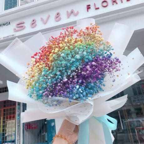 seven florist rainbow baby breath1