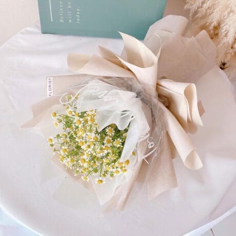 seven florist chamomile 01a