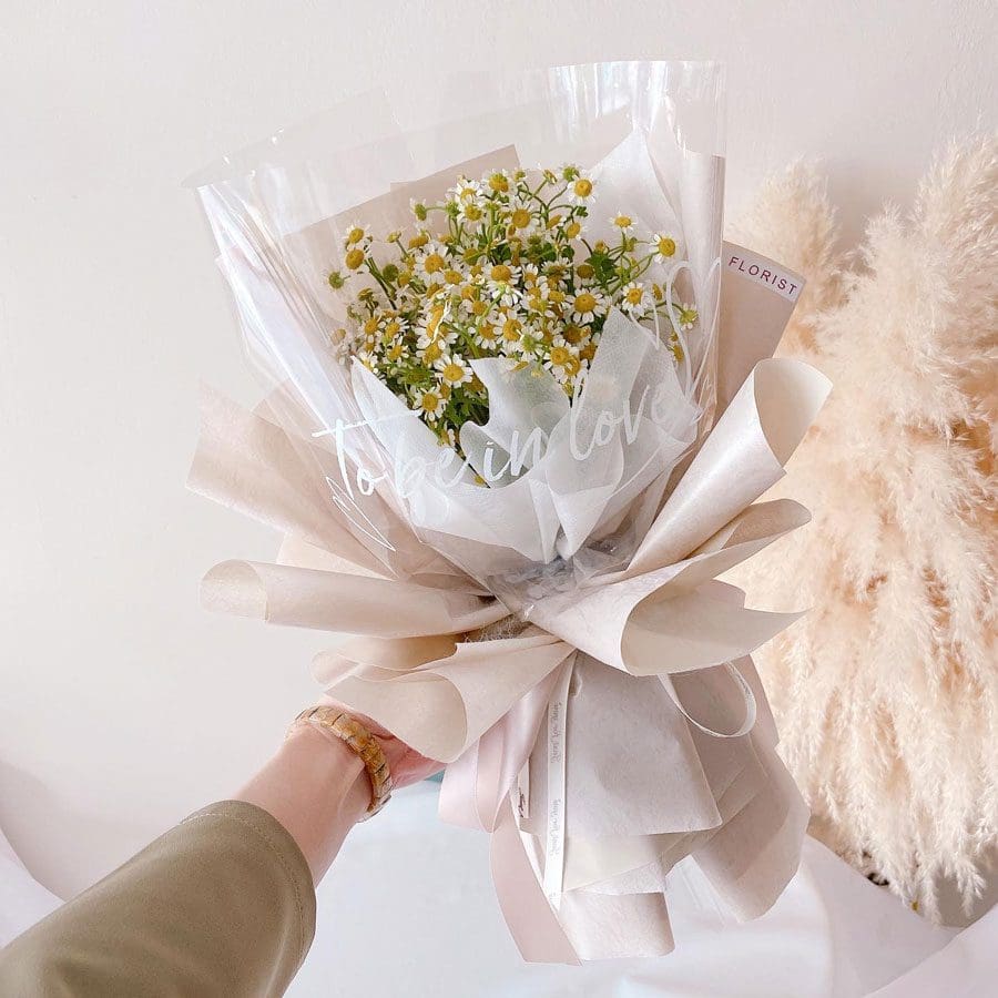 seven florist chamomile 02a