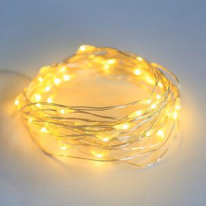 LED Light
