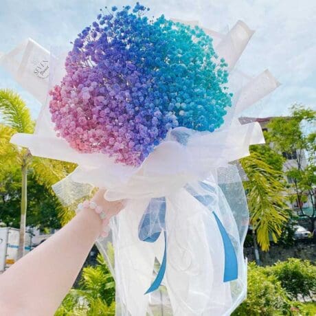 seven florist baby breath galaxy 01a