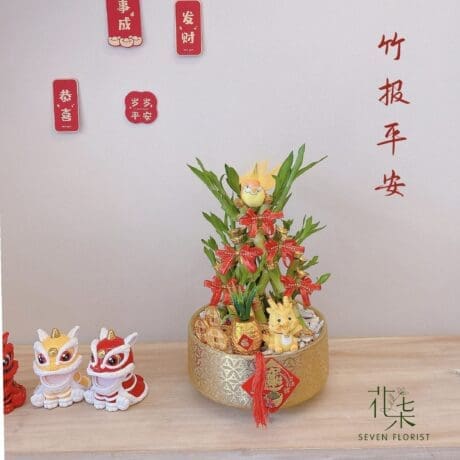 seven florist lucky bamboo