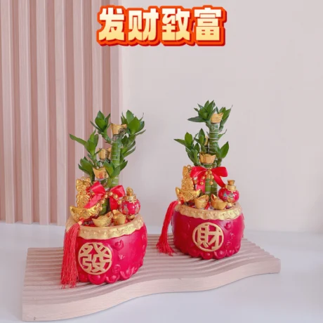 Prosperity and Wealth 发财致富 01