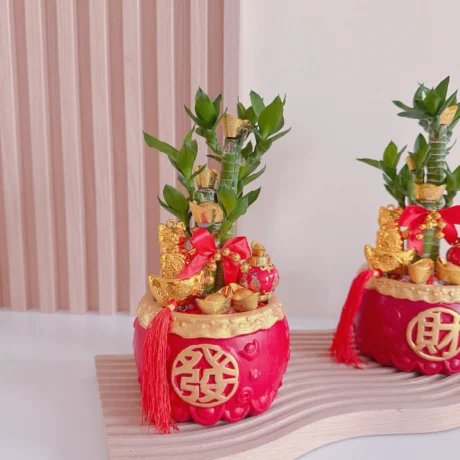 Prosperity and Wealth 发财致富 02