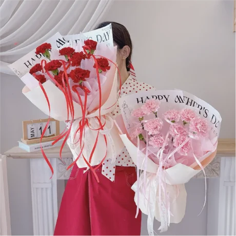 seven florist carnation serenade a 01