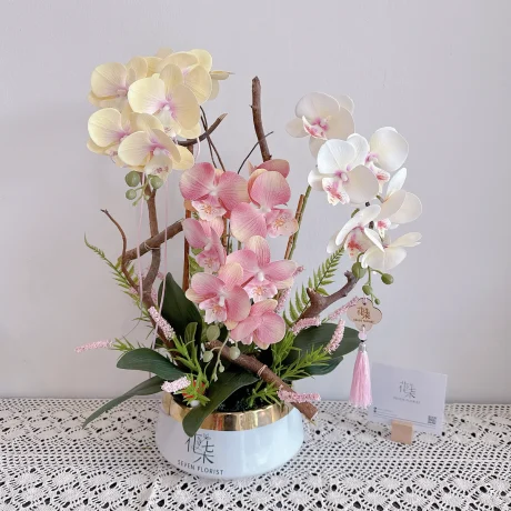 seven florist orchid grace b 02